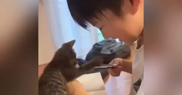 お兄ちゃんが宿題をしていると、『子猫』が…"かわいすぎるやり取り"に癒されると34万再生「思わずニヤニヤした」「100点だｗ」