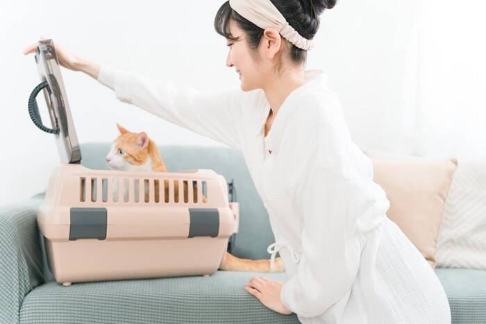 猫が病気になったときにする『検査』6選　必要となる場面や受ける際の注意点