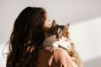 猫があなたの『髪の毛を舐めてくる』理由5選　信頼されている証？トラブルの可能性まで解説