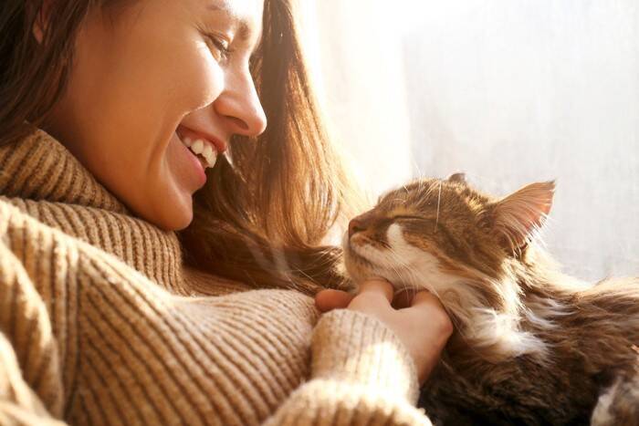 猫があなたの『髪の毛を舐めてくる』理由5選　信頼されている証？トラブルの可能性まで解説