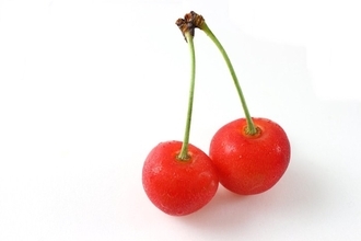 猫の目にあらわれる病気『チェリーアイ』の症状4つ　放置してはいけない理由から治療法まで