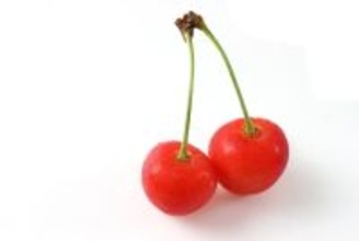 猫の目にあらわれる病気『チェリーアイ』の症状4つ　放置してはいけない理由から治療法まで