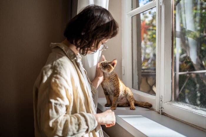 猫が『しっぽで前足を隠す』3つの理由　隠されている心理や適切な接し方