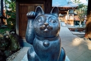 猫にゆかりのある『神社・お寺』8選　猫好きなら足を運びたくなる理由やおすすめポイントをご紹介