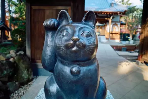 猫にゆかりのある『神社・お寺』8選　猫好きなら足を運びたくなる理由やおすすめポイントをご紹介