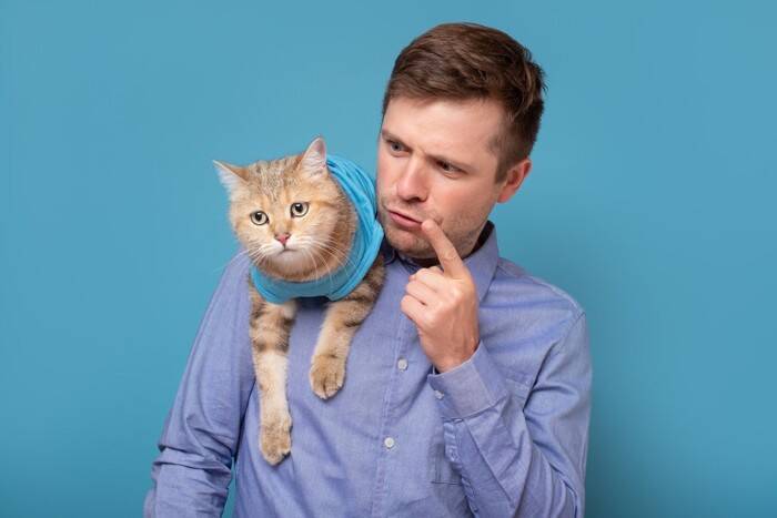 猫に伝わりやすい『褒め方・叱り方』の方法3つ　誤った方法では逆効果に？やってはいけないNG行為も