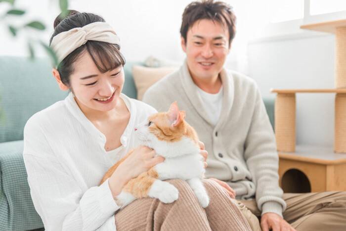 猫に伝わりやすい『褒め方・叱り方』の方法3つ　誤った方法では逆効果に？やってはいけないNG行為も