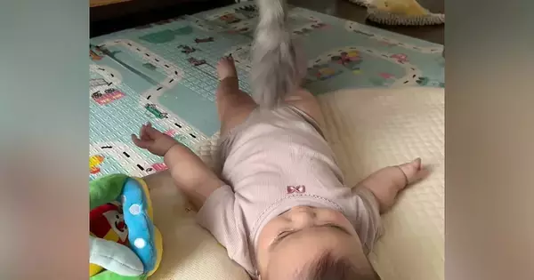 しっぽを器用に動かして『赤ちゃんと遊んであげる猫』…驚きの光景に「ちゃんと反応を見て動かしてるの凄い」「面倒見が良すぎる」と23万再生