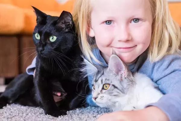 『猫モテしたい』あなたに贈る4つのアドバイス　猫が愛してやまない人物像とは？