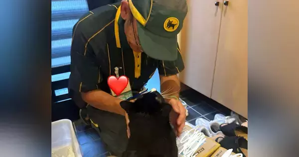 『天気が悪い日』クロネコヤマトの配達員さんを猫ちゃんがお出迎えした結果…心温まるエピソードに２万いいね「クロネコ同士ｗ」「遊びにｗ」
