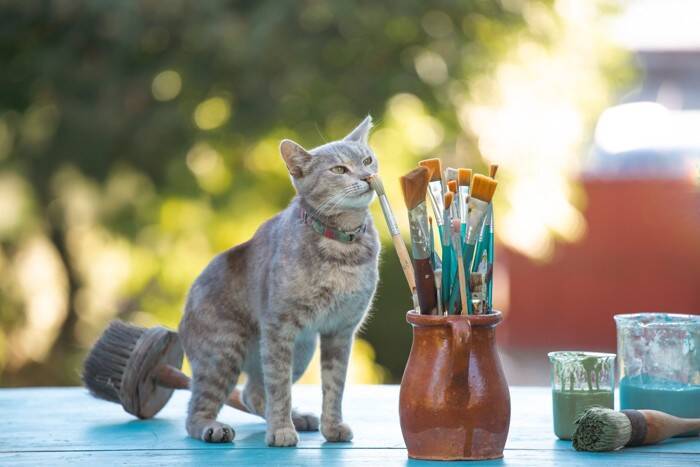 猫の『抜け毛』を再利用するアイデア5選　おもちゃや思い出として残せる方法がある？