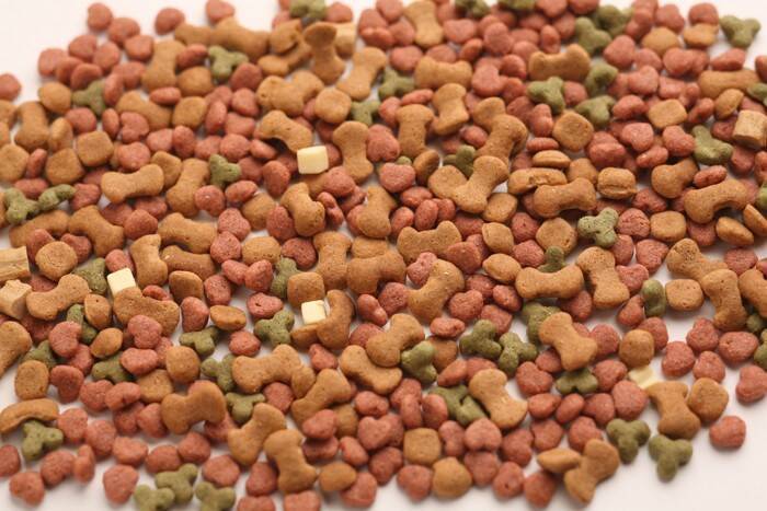 キャットフードに含まれている『添加物』5つ　なぜ入っているの？摂取しても大丈夫？