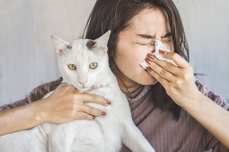 『猫アレルギー』になったときの症状5つ　愛猫との生活を維持するための対策まで