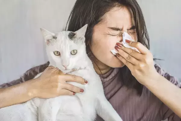 『猫アレルギー』になったときの症状5つ　愛猫との生活を維持するための対策まで