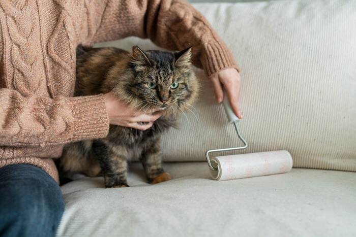 『猫アレルギー』になったときの症状5つ　愛猫との生活を維持するための対策まで