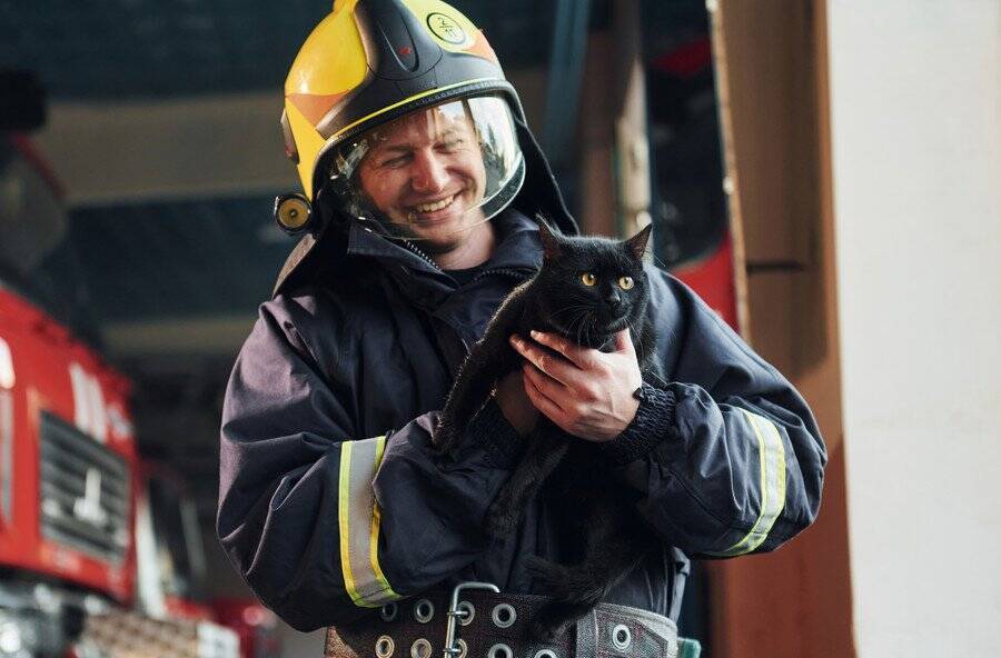 閉じ込められて大窮地に立った猫たち　大都市ニューヨークで有名になった「奇跡の救出劇」
