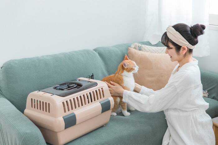 猫が発症しやすい『がん』4つ　主な特徴や表れる症状、予防法まで解説