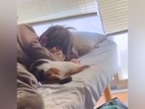 飼い主さんの腕の中で『目を覚ました三毛猫』→そっと抜け出したのに、ナデナデされると…『幸せすぎる朝の光景』に「かわいい」と反響