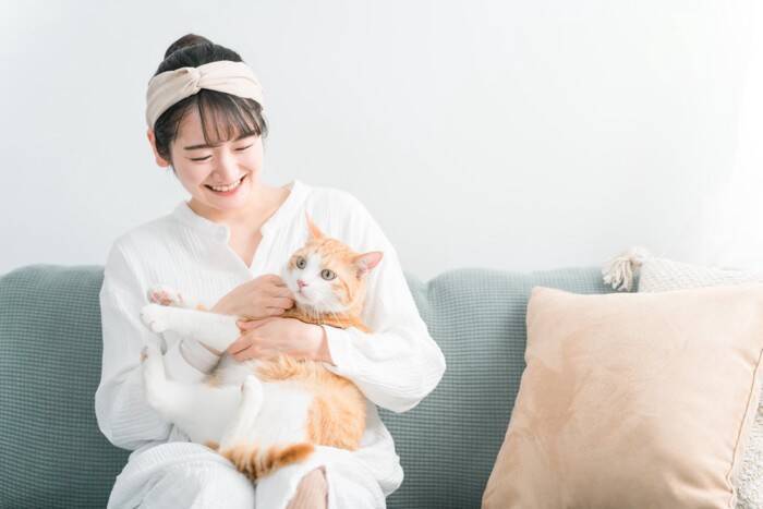猫がかかりやすい『ホルモンの病気』3選　考えられる原因や主な症状、治療法まで解説