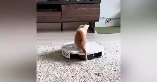 最初はロボット掃除機が怖かった子猫→乗れるようになって…成長した現在の『まさかの光景』が222万再生「おもろすぎるｗ」「おっさんｗ」