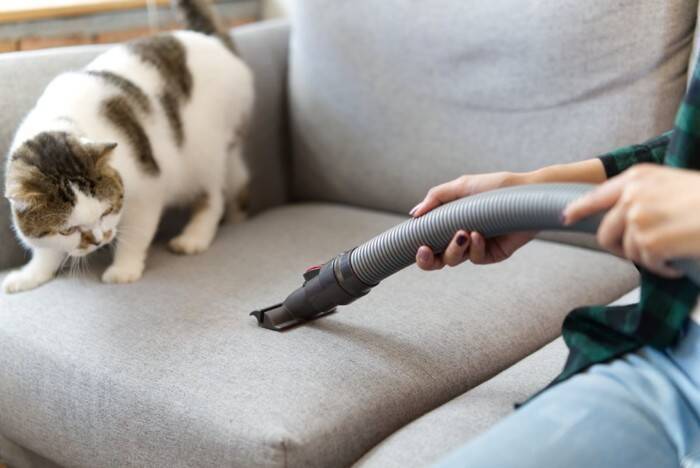 猫があなたに『嫌なキモチです』と訴えている仕草5選　不快感を抱く理由や適切な対処法も