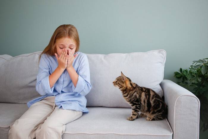 猫にとっては不快に感じる『生活音』5選　負担を減らすためにできる対処法もご紹介