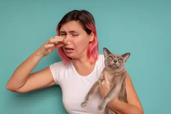 猫の『おなら』にまつわる知識3選　臭うときの原因や異常のサインも解説