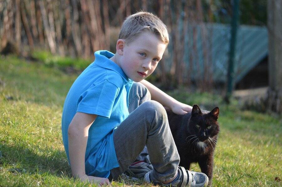 「犯人は近所の黒猫」　小学校から生徒の下着などを盗み出していた常習犯が判明！　ニュージーランド