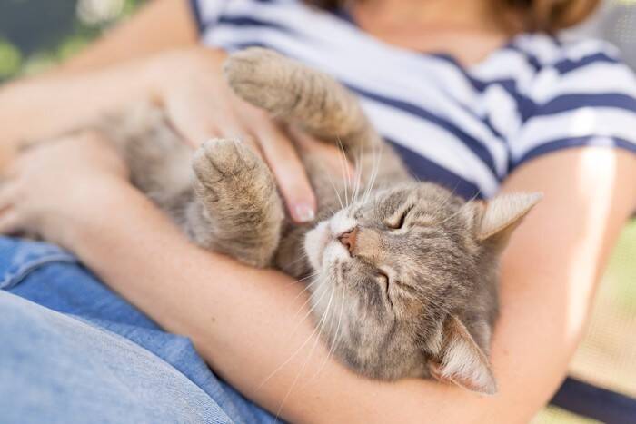 猫も『くすぐったい』と感じるの？反応を示しやすい場所や嫌がっているサインまで