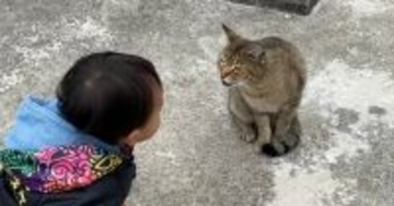 野良猫を発見した『1歳の男の子』→挨拶してみると……「可愛すぎて涙」驚きの展開が101万再生「天使と天使が遊んでる」「優しい世界」