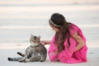 『ポジティブな猫』が持っている特徴3選 　前向きな性格がもたらすメリットまで