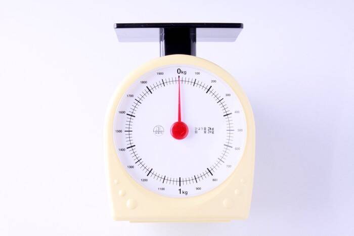 子猫が『1歳を迎えるまで』にすべきこと6つ　成長に合わせた時期の目安まで解説