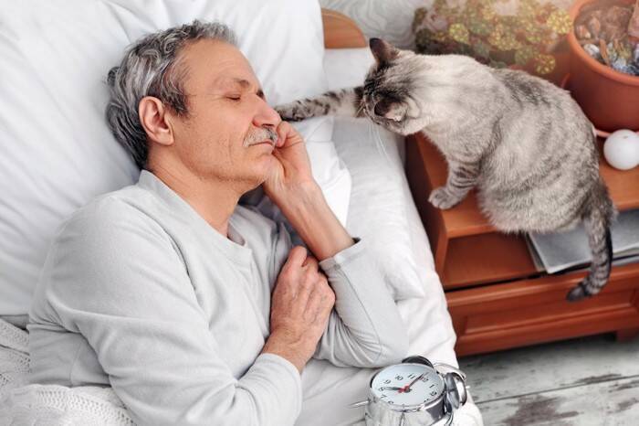 猫があなたにする『困るけど憎めない行動』5選　無邪気な仕草をみせるワケや接し方のコツまで