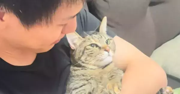 足を洗われて不満そうにしていた猫→頭をなでると…思わず笑顔になる『可愛すぎる反応』が７万再生「もう子供だねｗ」「すんごい文句垂れてるｗ」