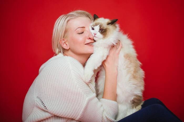 猫を『初めて飼う』ならおすすめしたい猫種3選　それぞれの特徴や魅力、飼いやすい理由まで