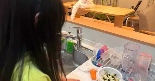包丁の使い方を教わるお姉ちゃんを『見守る猫』→表情に笑ってしまう人が続出「師匠の貫禄ｗ」「カッコよく指導してくれそうｗ」と反響