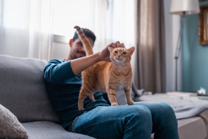 猫があなたに『仲良くなりたい』と伝えているサイン4選　行動に隠されている意味や仲を深める応え方