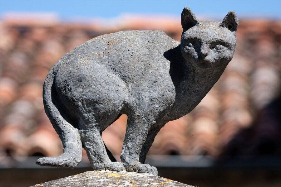 中世の伝説とモーリス・セローの彫刻で、人々を魅了する「猫の村」　フランス