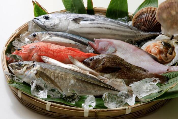 魚が大好物の猫は気を付けたい『イエローファット』とは？　主な原因や症状・予防法まで解説