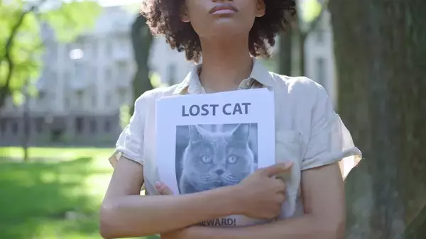 行方不明の愛猫が閉じ込められていたのは、リフォーム後の浴槽下だった！　米国