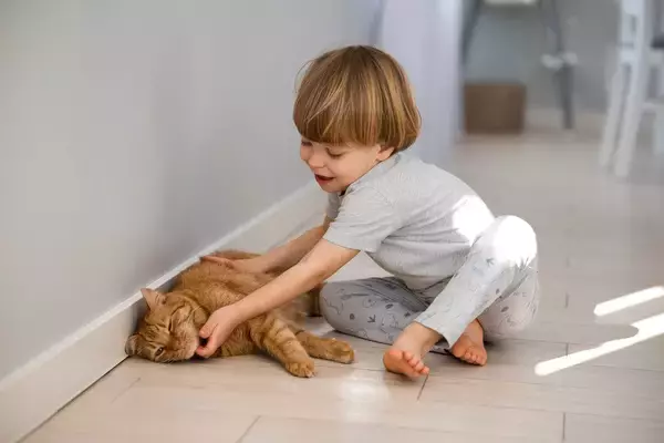 「一緒にがんばるニャン！」　発達障害のある子どもが「飼い猫」を訓練することで、お互いの結びつきや社会性が向上することが判明　米大学の研究
