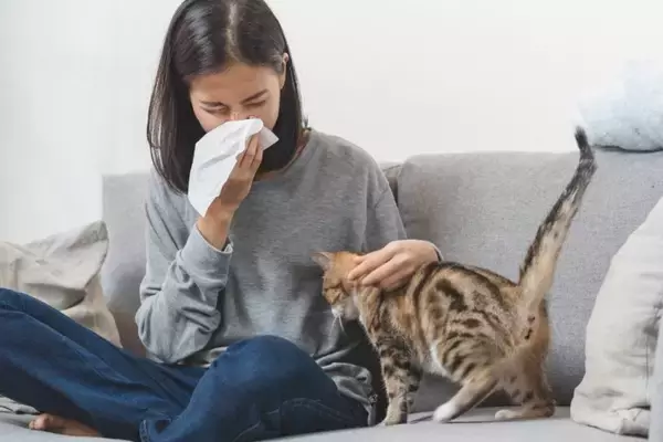 猫アレルギーでも諦めないで！猫と暮らすためのアレルギー対策【獣医師執筆】