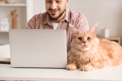 猫が『あなたの近くから離れない』ときの理由5つ　気持ちの見分け方や対処法まで解説