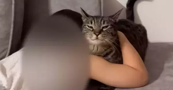 泣いている女の子のそばで、猫が…つい目頭が熱くなる『優しい行動』に「涙が出た」「感動で泣いてしまった」「本当に愛おしい」と14万再生