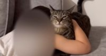 泣いている女の子のそばで、猫が…つい目頭が熱くなる『優しい行動』に「涙が出た」「感動で泣いてしまった」「本当に愛おしい」と14万再生