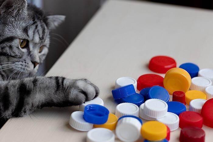 猫を夢中にさせる『0円おもちゃ』5選　安全な作り方のポイントまでご紹介