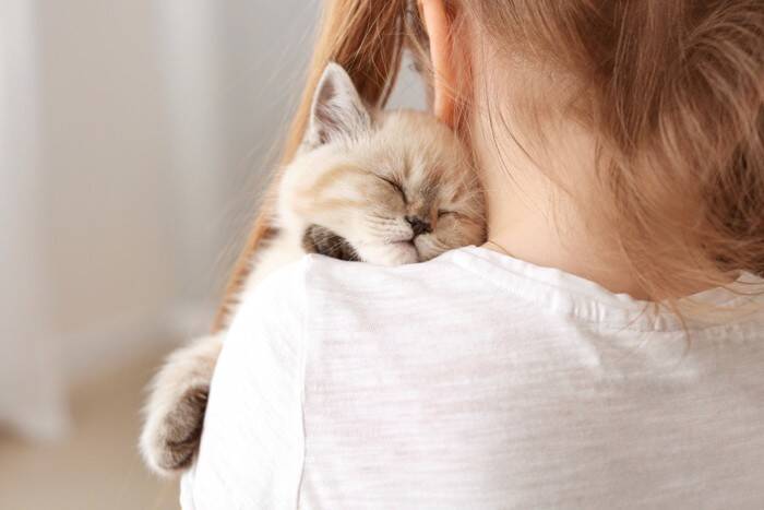 『社会化期の子猫』に慣れさせておくべきこと3選　性格形成にも影響が？大切な時期とされるワケ