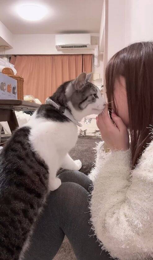 飼い主が泣いていたら、猫が……胸キュン必至な『まさかの光景』が47万再生「彼氏いらんなｗ」「めっちゃイケメン」と絶賛の声続出