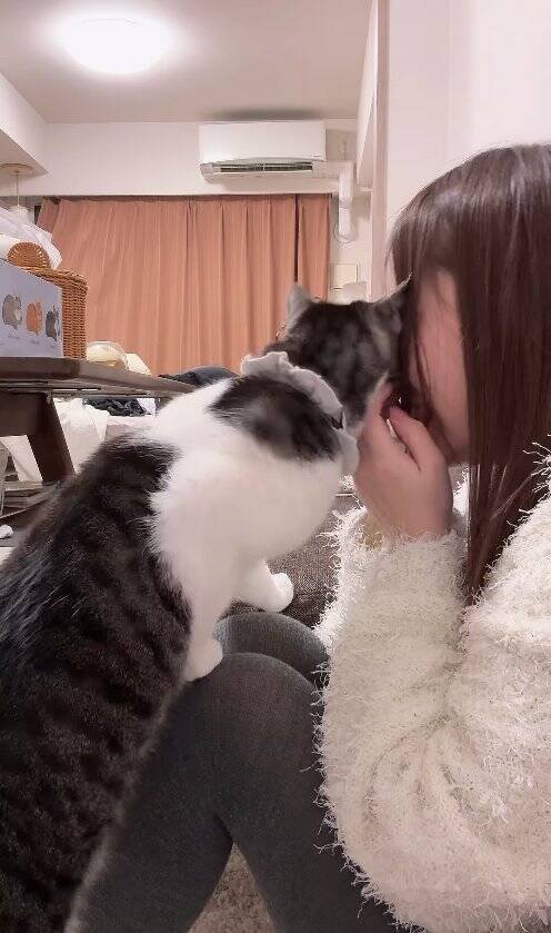 飼い主が泣いていたら、猫が……胸キュン必至な『まさかの光景』が47万再生「彼氏いらんなｗ」「めっちゃイケメン」と絶賛の声続出