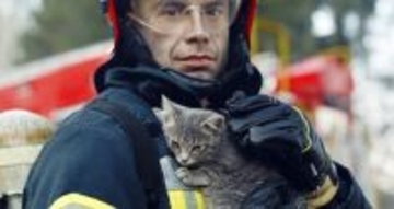 奇跡の生還　火事で全焼した建物に閉じ込められ、3週間半を生き延びた猫　英国